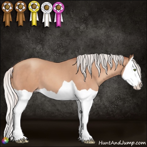 Horse Color:Silver Sable Champagne Splash 