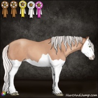 Horse Color:Silver Sable Champagne Splash 