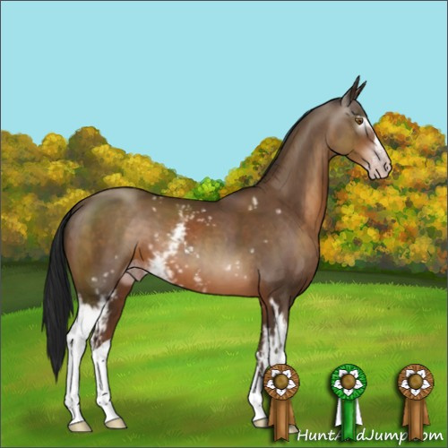 Horse Color:Gray White Spotted Sable Champagne Sabino