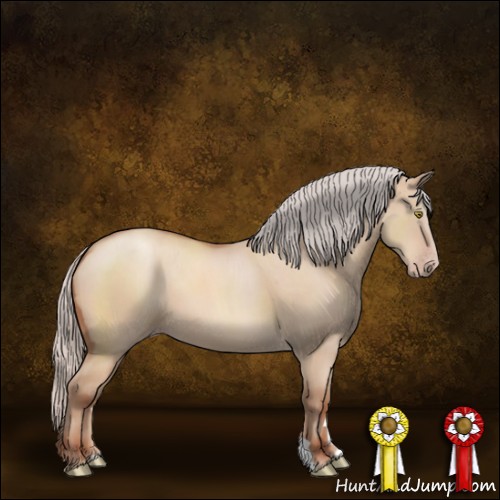 Horse Color:Silver Sable Champagne Dun 