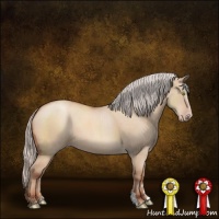 Horse Color:Silver Sable Champagne Dun