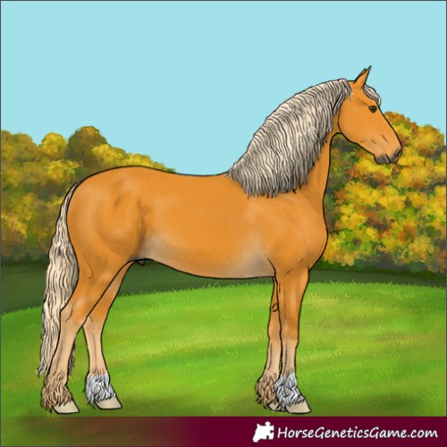 Horse Color:Gray Palomino 