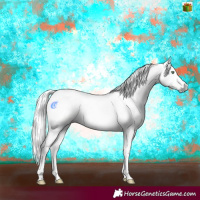 Horse Color:Gray Amber Cream Champagne 