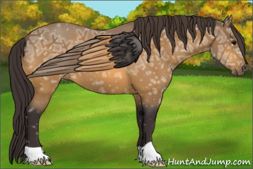 Horse Color:Buckskin Ice 