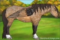 Horse Color:Buckskin Ice 