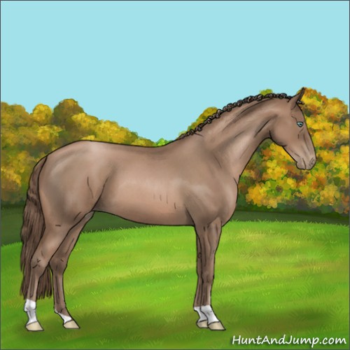 Horse Color:Blue Roan Pearl