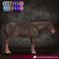 Horse Color:Liver Chestnut 