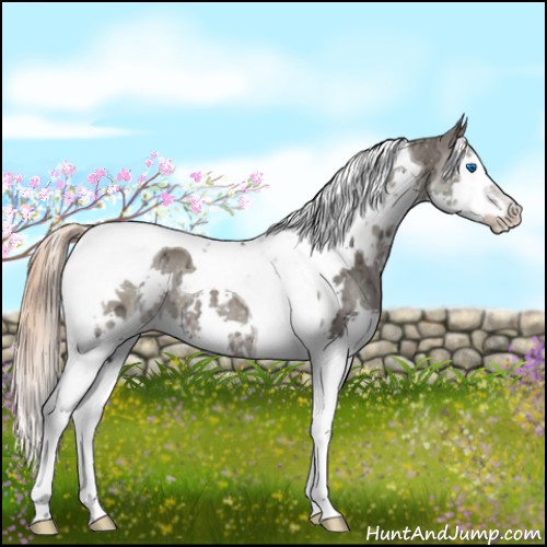 Horse Color:White Spotted Liver Chestnut Ice Splash Tobiano