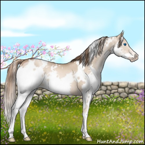 Horse Color:White Spotted Liver Red Dun Pearl Splash Brindle 
