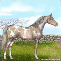 Horse Color:White Spotted Liver Chestnut Pearl 