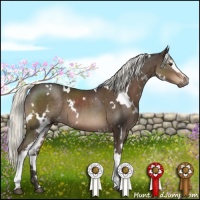 Horse Color:White Spotted Liver Chestnut Mushroom 