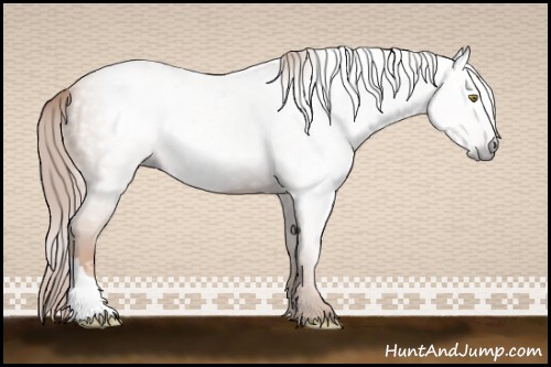Horse Color:Gray Gold Champagne 