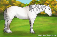 Horse Color:Gray Amber Champagne Tobiano