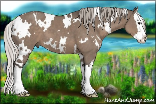 Horse Color:White Spotted Silver Grullo Sabino Splash
