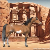 Horse Color:White Spotted Bay Sabino Frame 