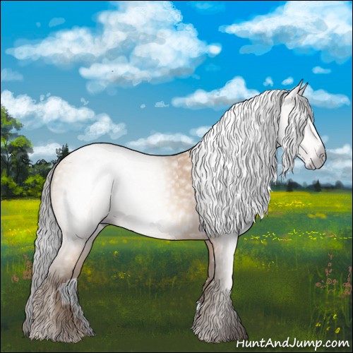 Horse Color:Gray Amber Champagne 