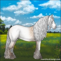 Horse Color:Gray Amber Champagne 