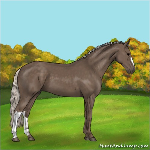 Horse Color:Silver Black 