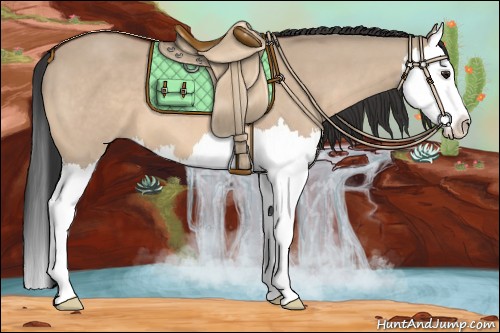 Horse Color:Brown Dun Splash 