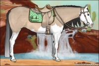 Horse Color:Brown Dun Splash