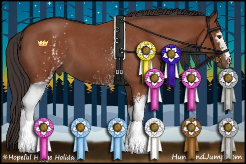 Horse Color:White Spotted Bay Roan 