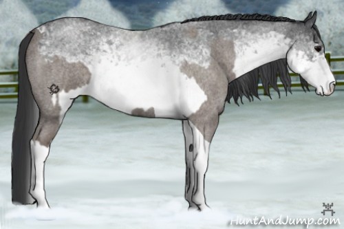 Horse Color:Silver Blue Roan Tobiano Rabicano and White Spotted Blue Roan Rabicano