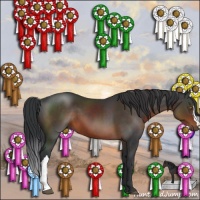 Horse Color:Brown 