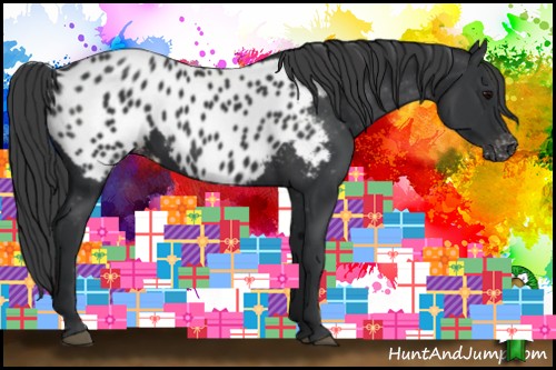 Horse Color:Black Near Leopard