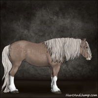 Horse Color:Silver Black Splash 