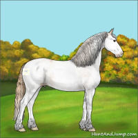 Horse Color:White Spotted Chestnut Ice Splash 