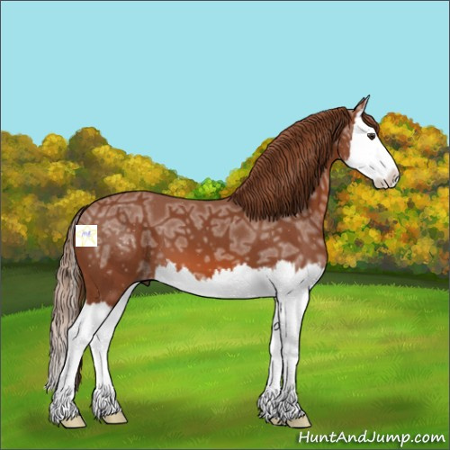 Horse Color:Chestnut Ice Sabino Splash 