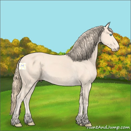 Horse Color:Perlino 