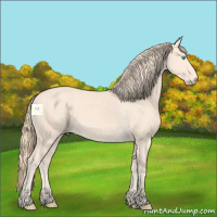 Horse Color:Perlino 