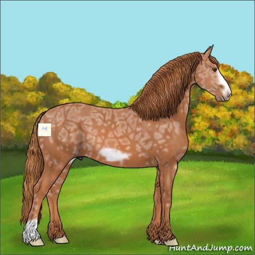 Horse Color:Chestnut Ice Frame 