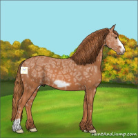 Horse Color:Chestnut Ice Frame 