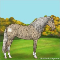 Horse Color:Silver Buckskin Ice Dun
