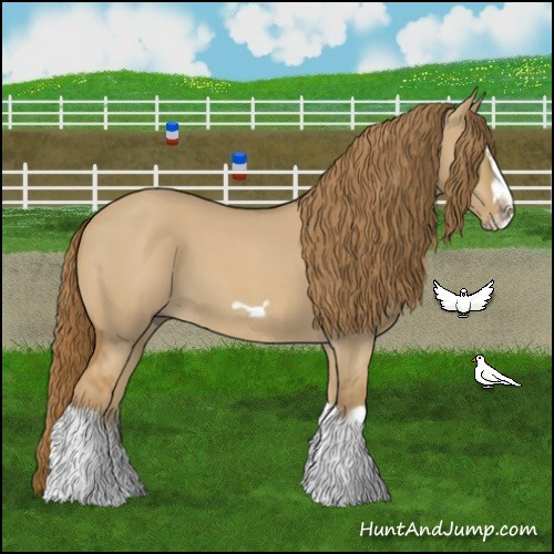 Horse Color:Red Dun Roan Splash Frame Rabicano 