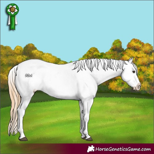 Horse Color:Red Dun Blanket