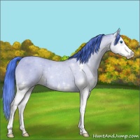 Horse Color:Watercolor Classic Champagne Roan Sabino Splash 