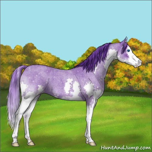 Horse Color:Watercolor Blue Roan Sabino Splash