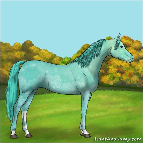 Horse Color:Watercolor Smoky Black Ice Rabicano 