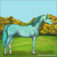Horse Color:Watercolor Smoky Black Ice Rabicano 