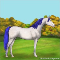 Horse Color:Watercolor Sable Champagne Ice Dun Rabicano 
