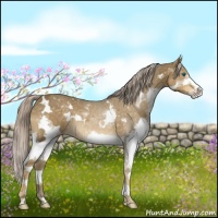 Horse Color:White Spotted Chocolate Palomino Sabino Splash