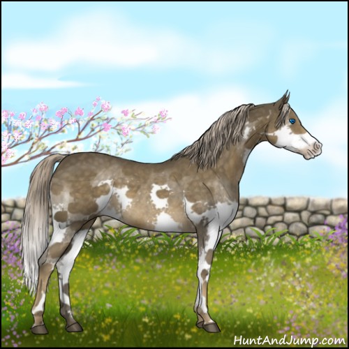 Horse Color:Chocolate Palomino Splash 