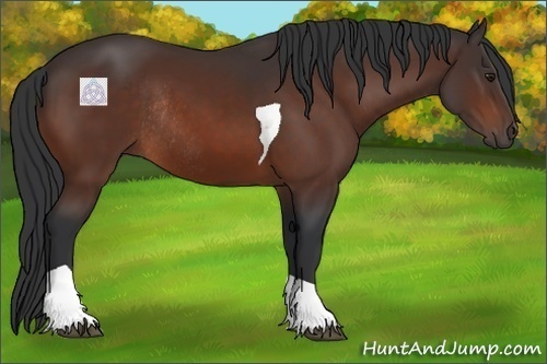 Horse Color:Brown Tobiano Rabicano