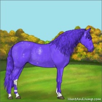 Horse Color:Watercolor Blue Roan Rabicano 
