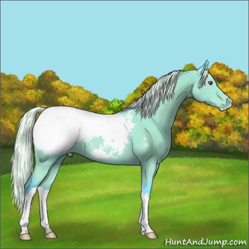 Horse Color:Watercolor Silver Black Chinchilla Snowcap 