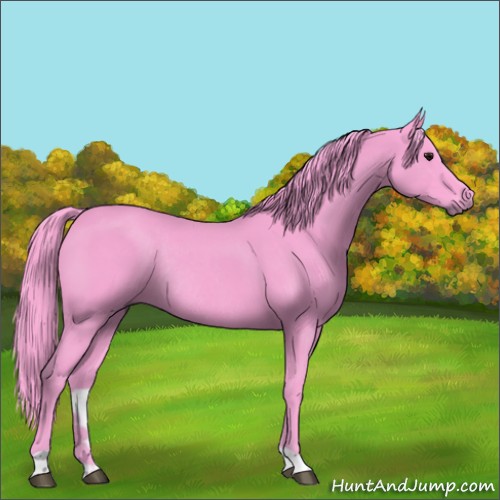 Horse Color:Watercolor Smoky Black Rabicano 