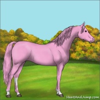 Horse Color:Watercolor Smoky Black Rabicano 